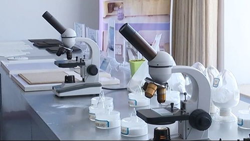 高新技術(shù)篇