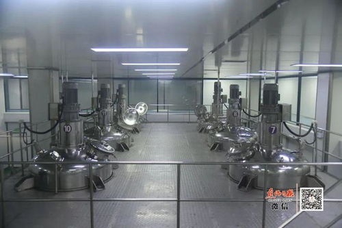 隱形冠軍 走到舞臺(tái)中央 寫(xiě)在溫縣通過(guò) 中國(guó)速食調(diào)味料之都 評(píng)審時(shí)